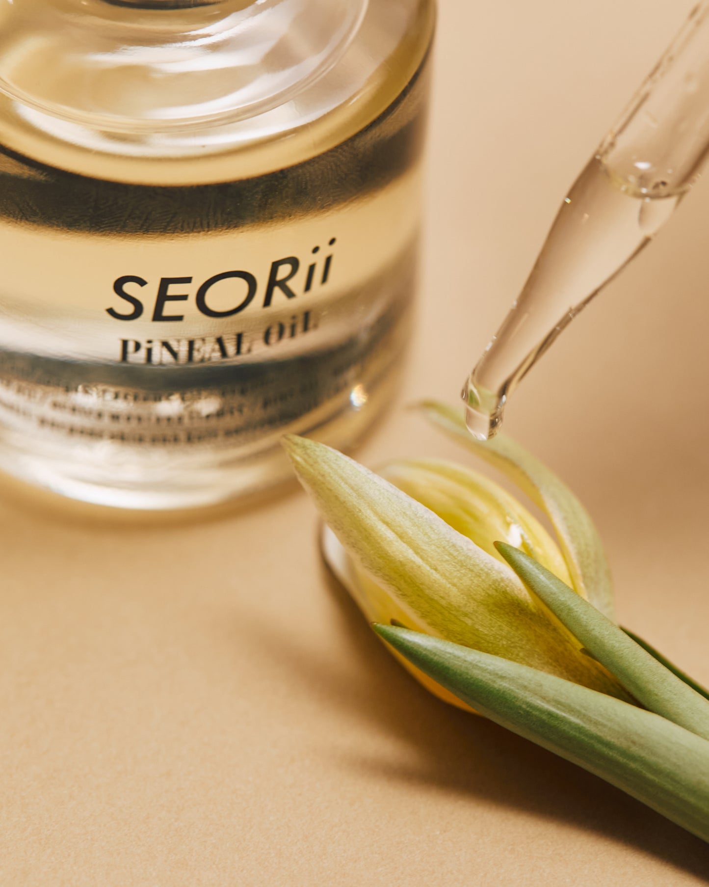 SEORii